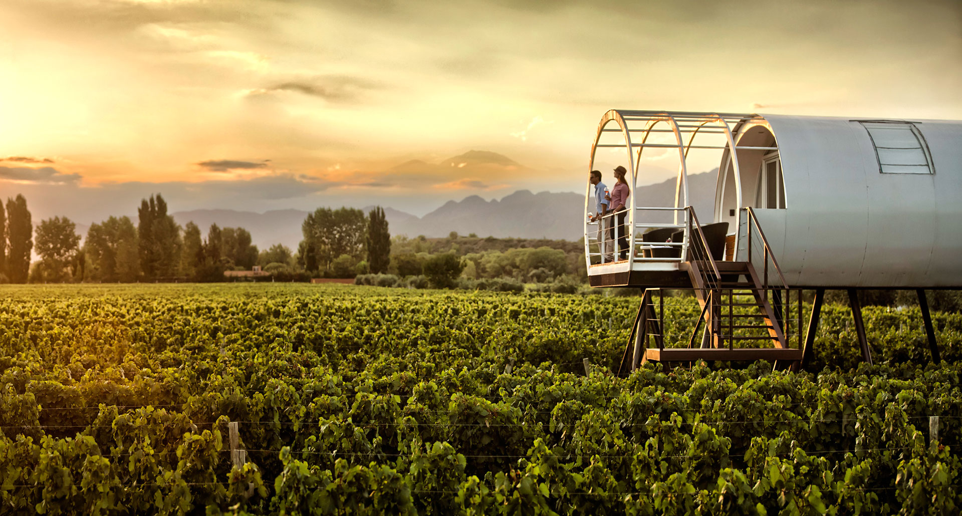 Forrestal Wine Merchants