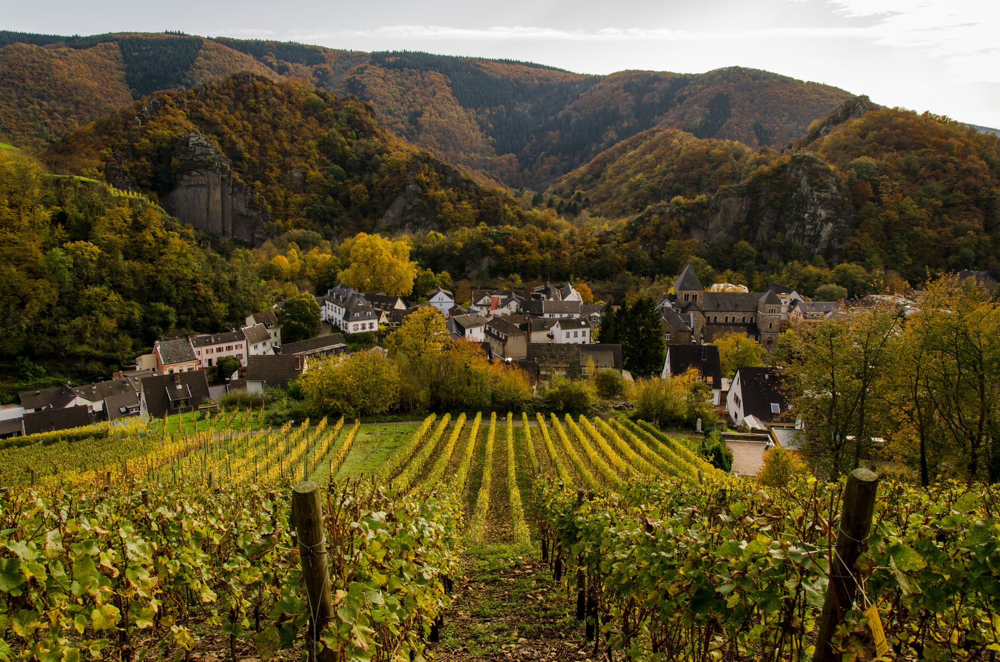 Forrestal Wine Merchants